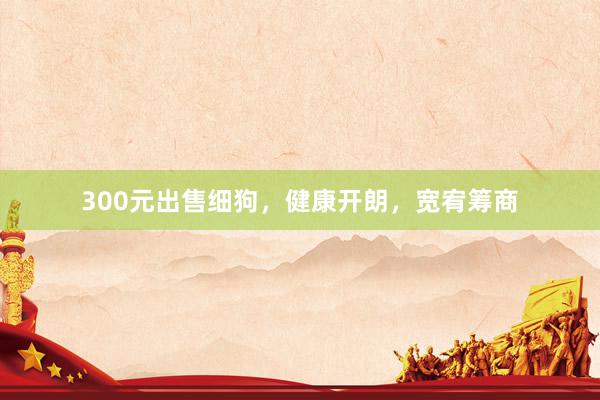 300元出售细狗，健康开朗，宽宥筹商